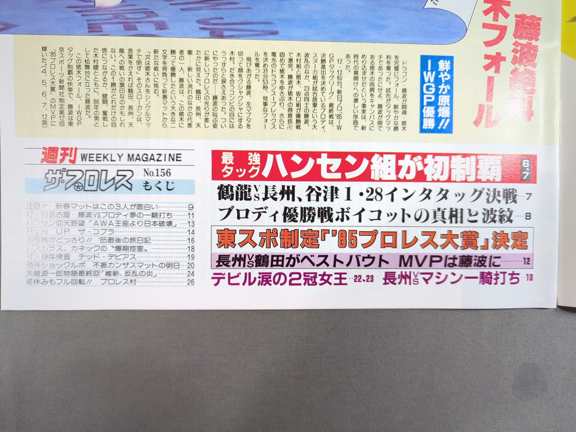 週刊ザ・プロレス156 – 闘道館