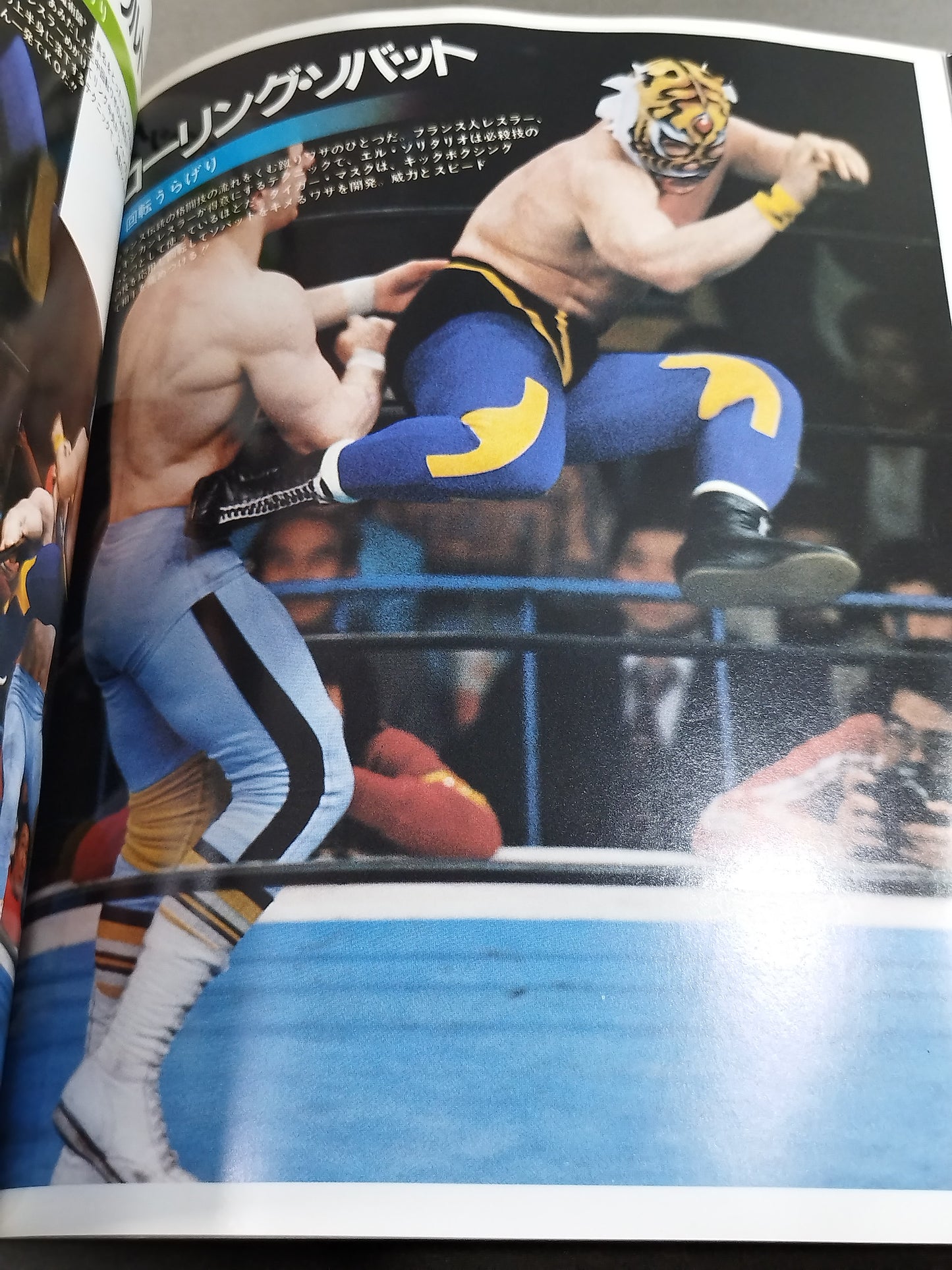 Tiger Mask photo  collection TV Asahi Golden Album