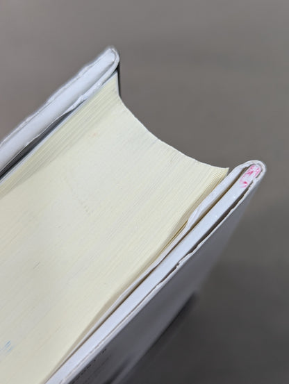 Martial Artist Akira Maeda 's Era (2)