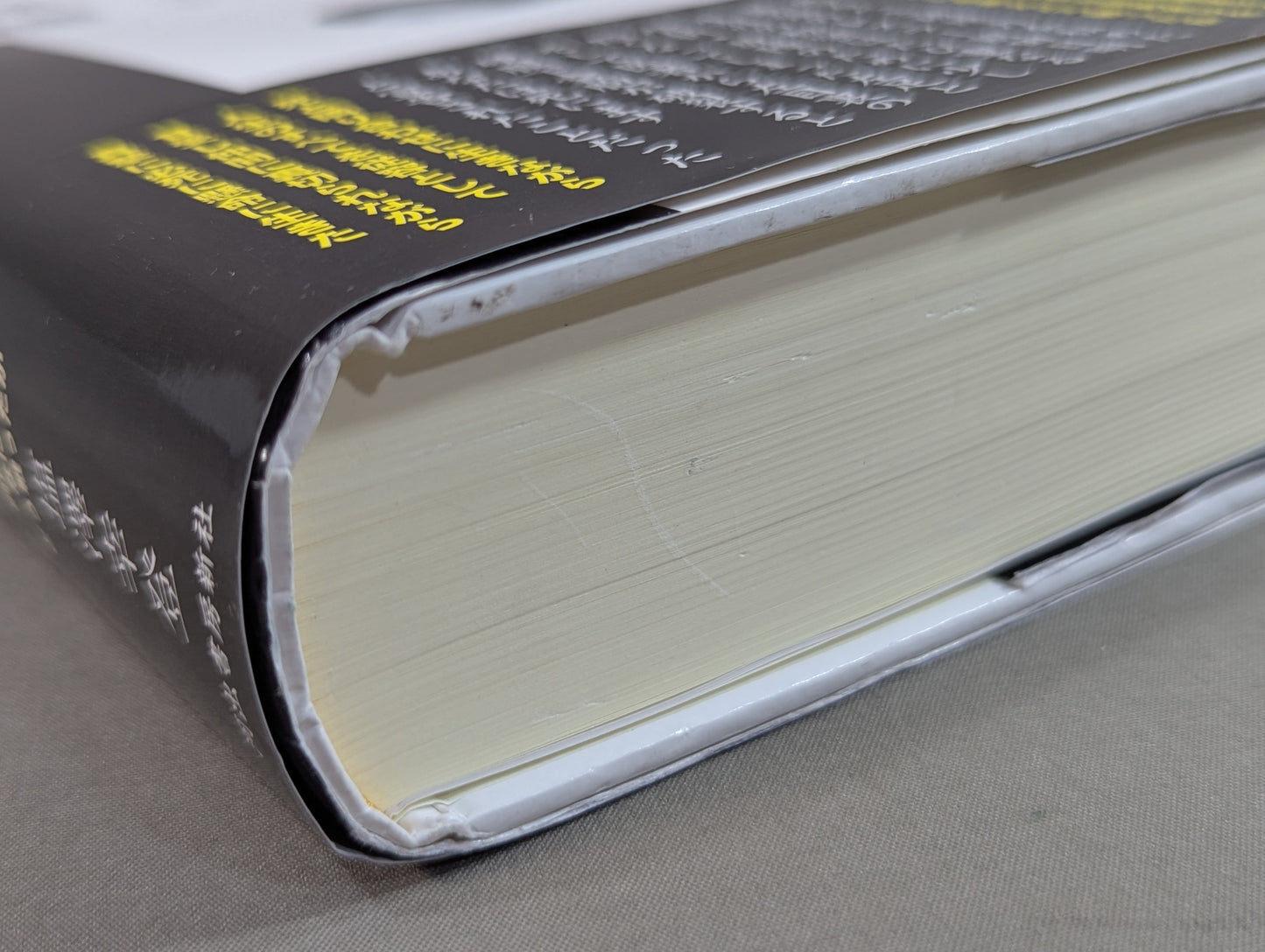 Martial Artist Akira Maeda 's Era (2)