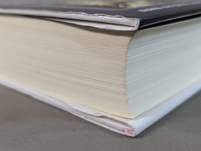 Martial Artist Akira Maeda 's Era (2)