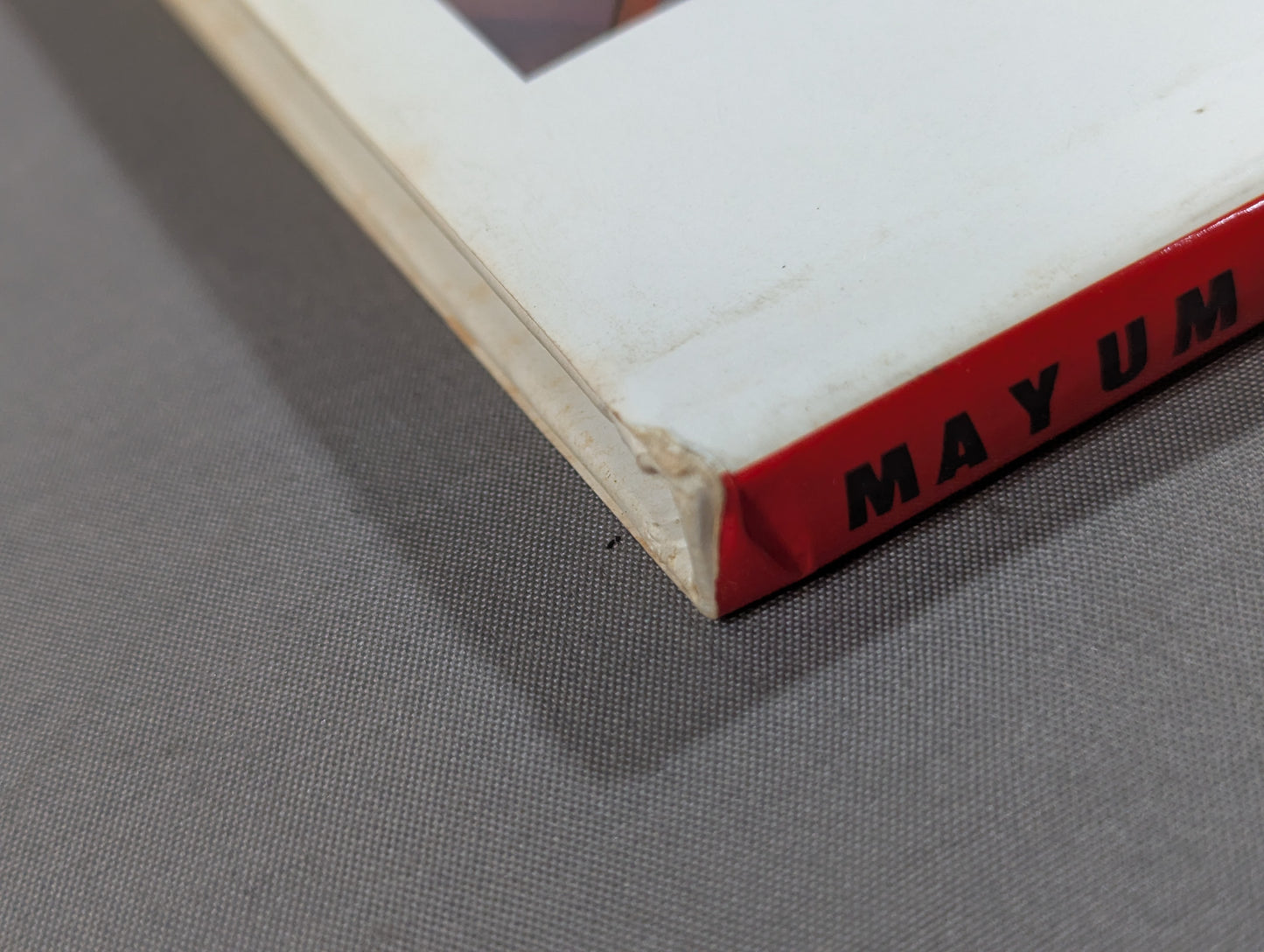 Mayumi Ozaki  photo  Collection The Flower of Evil