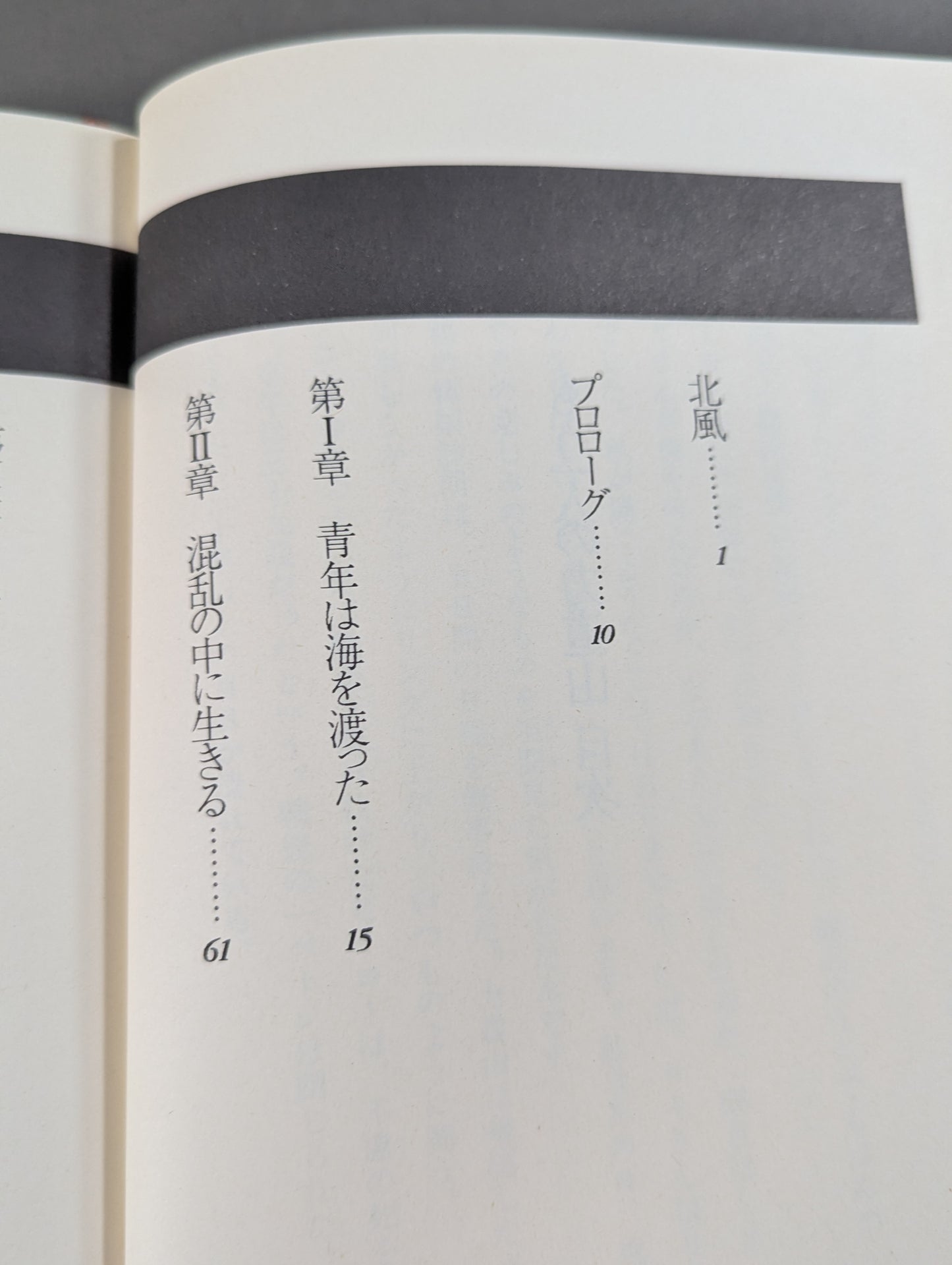 もう一人の力道山