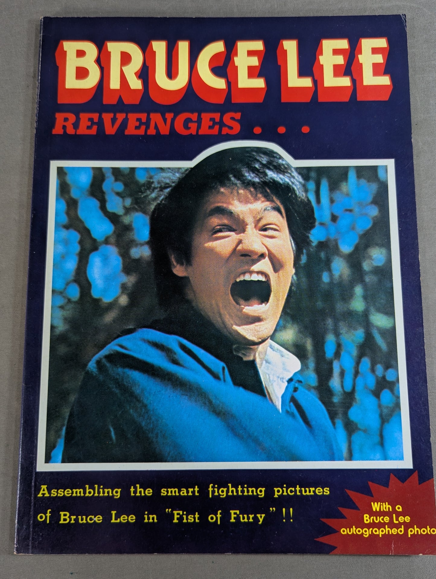 BRUCE LEE REVENGES...