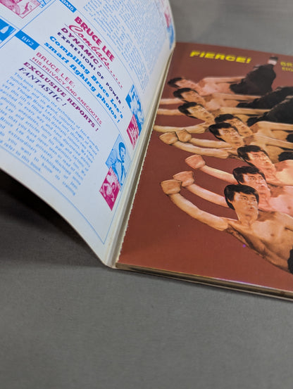BRUCE LEE REVENGES...