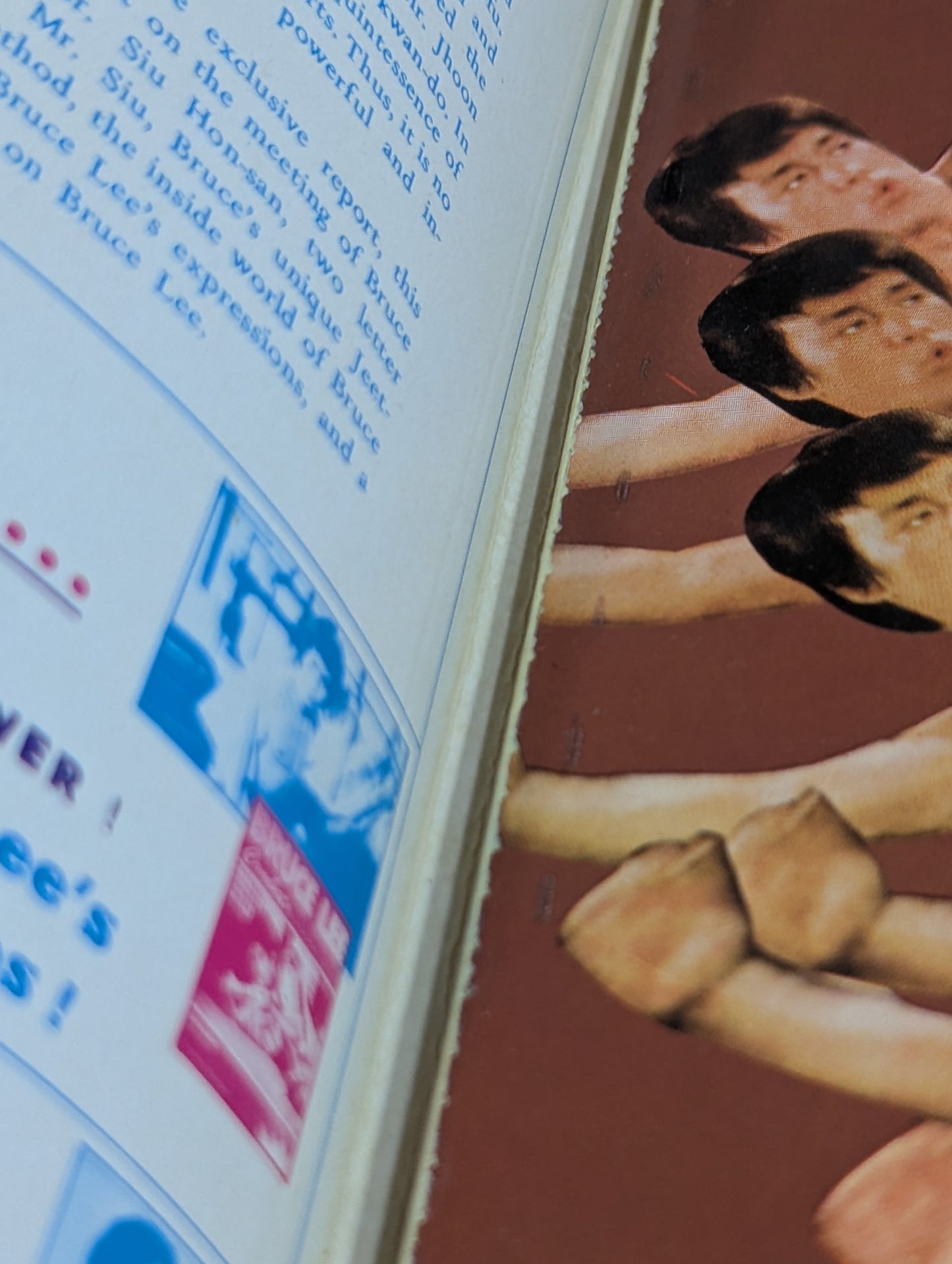 BRUCE LEE REVENGES...