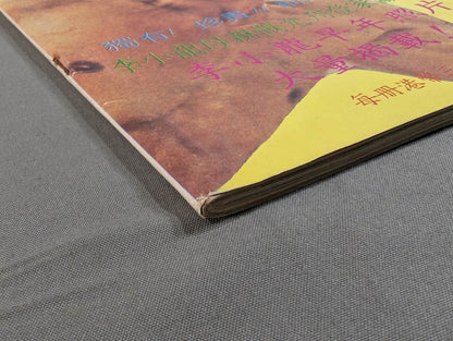 Bruce Lee  Secret Stories