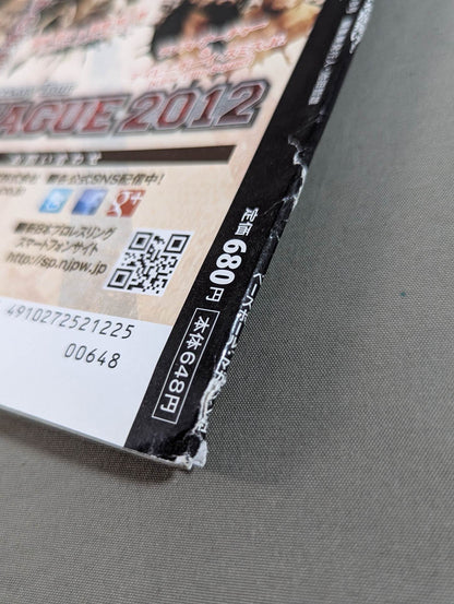 60 years of Japan Pro Wrestling (17)