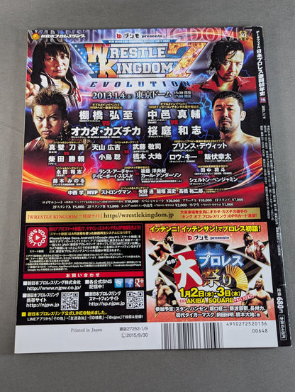 Japan Pro Wrestling 60 Years of Fierce Battle (19)