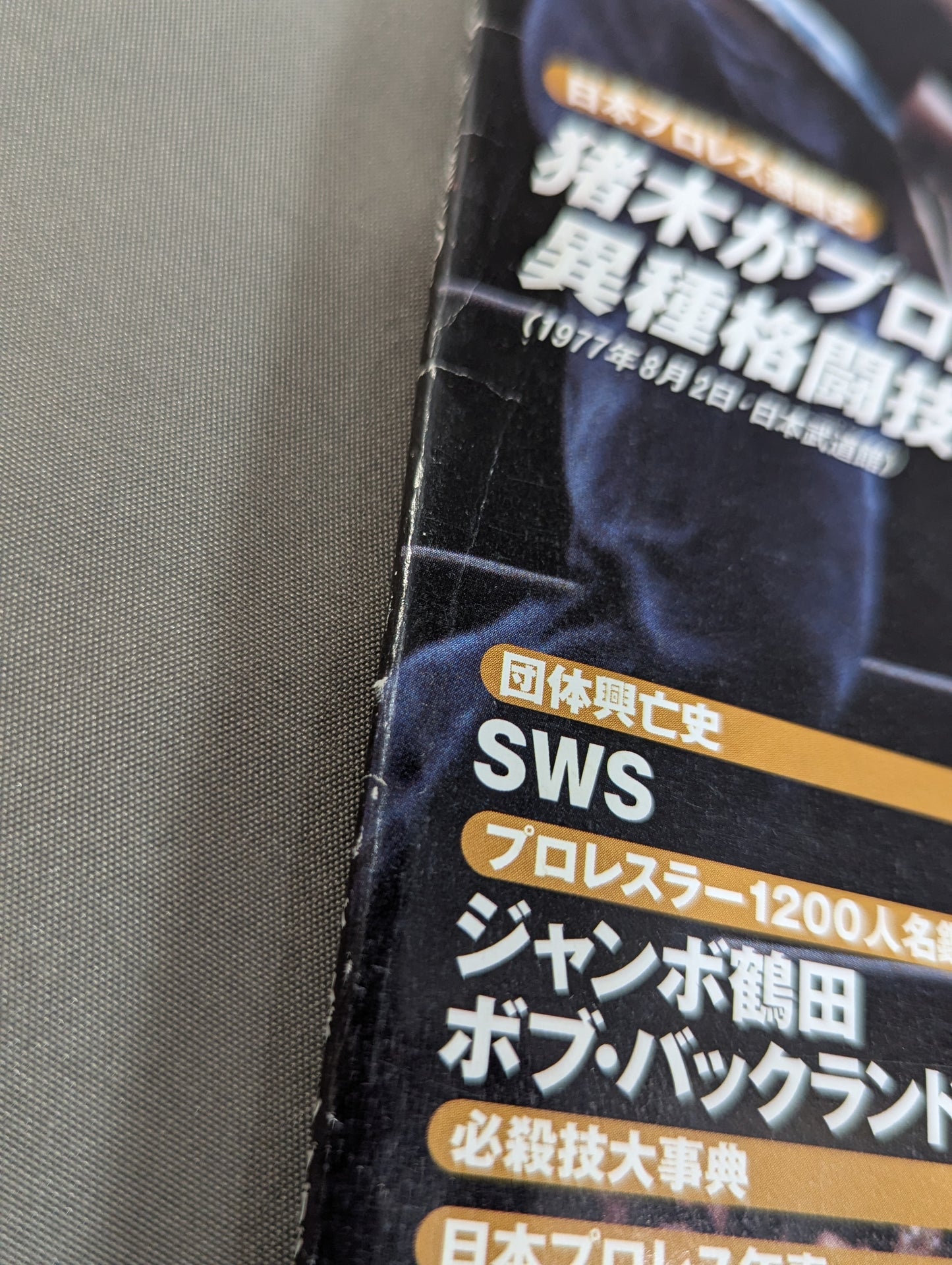 Japan Pro Wrestling 60 Years of Fierce Battle (19)