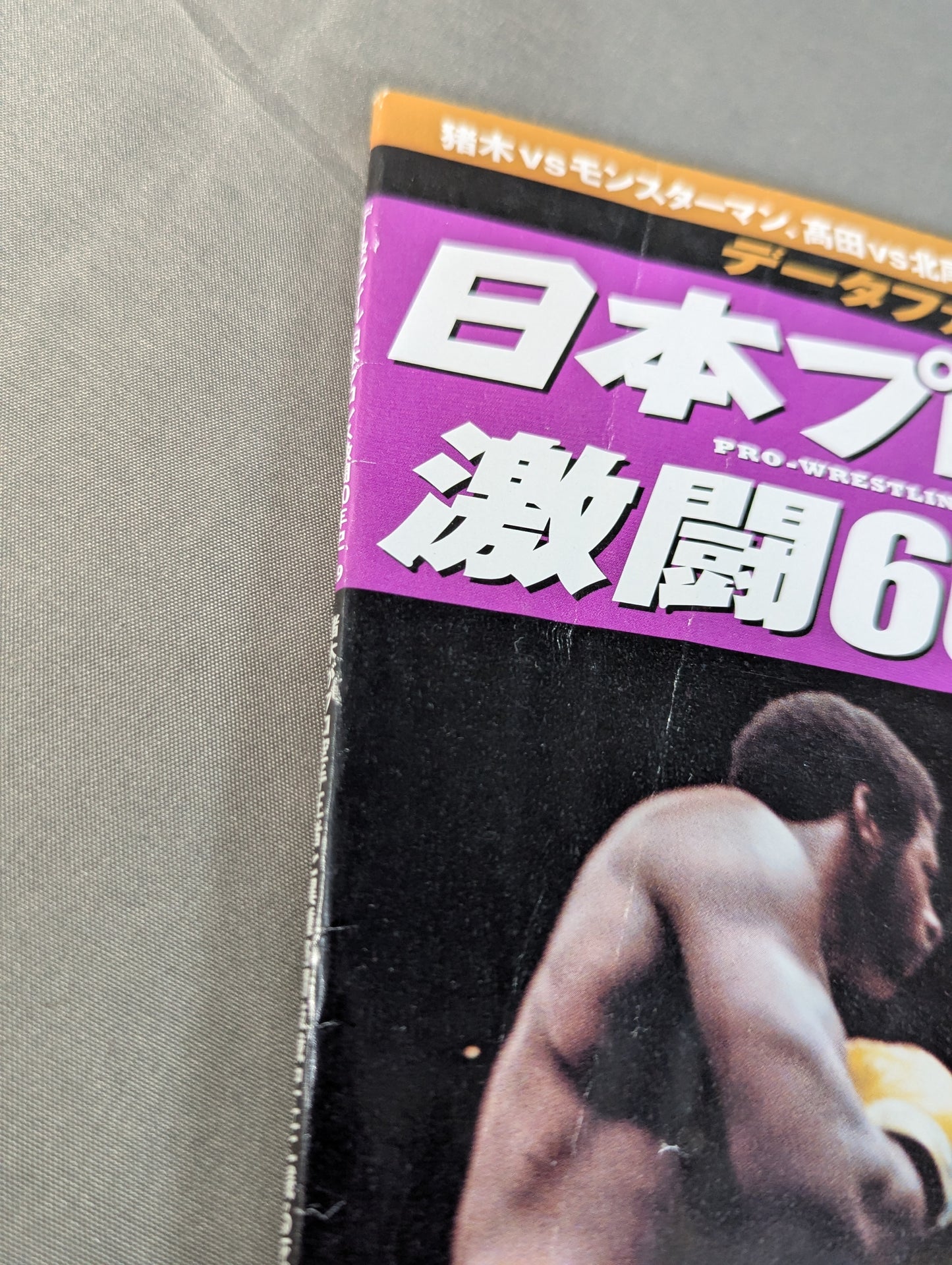 Japan Pro Wrestling 60 Years of Fierce Battle (19)