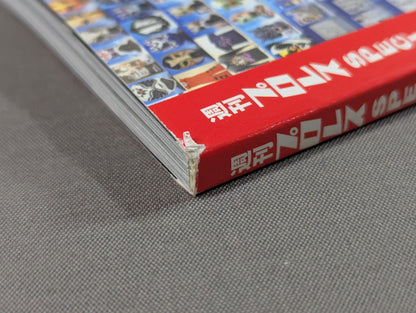 日本プロレス事件史 Vol.29 襲撃・乱入