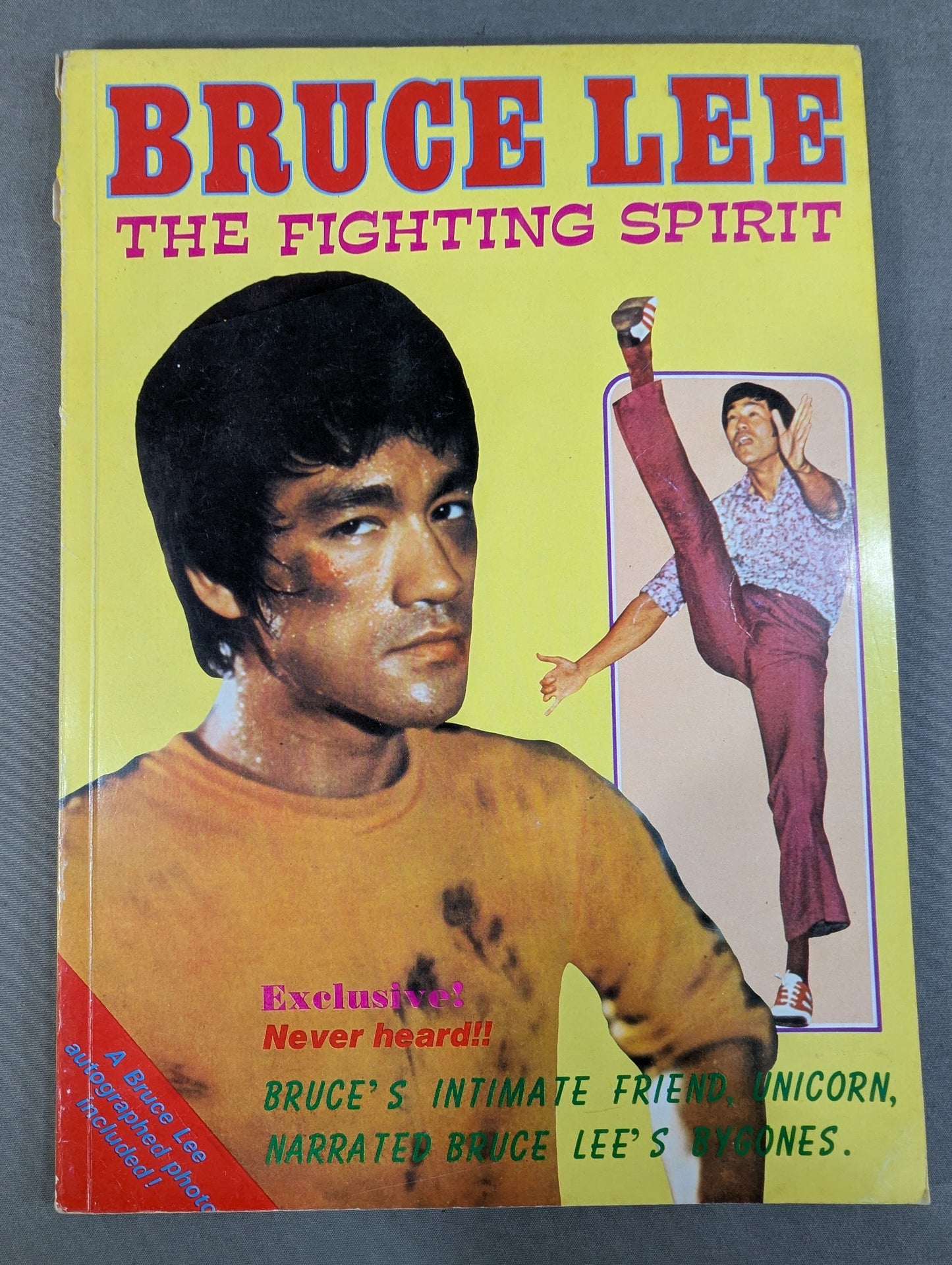 BRUCE LEE THE FIGHTING SPIRIT