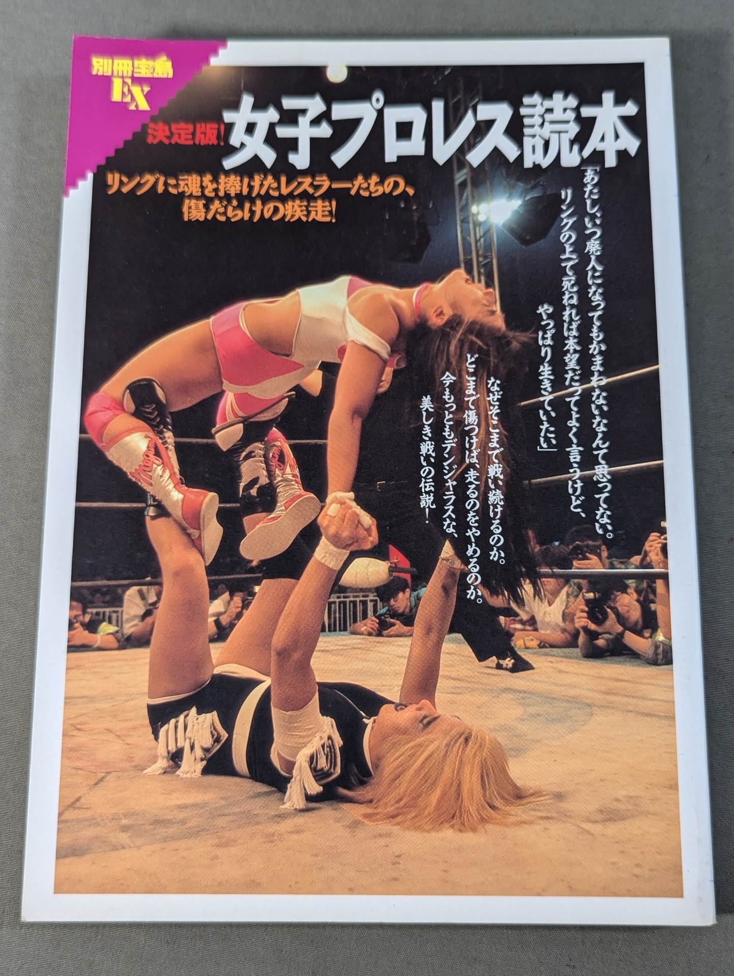 別冊宝島EX 決定版!女子プロレス読本