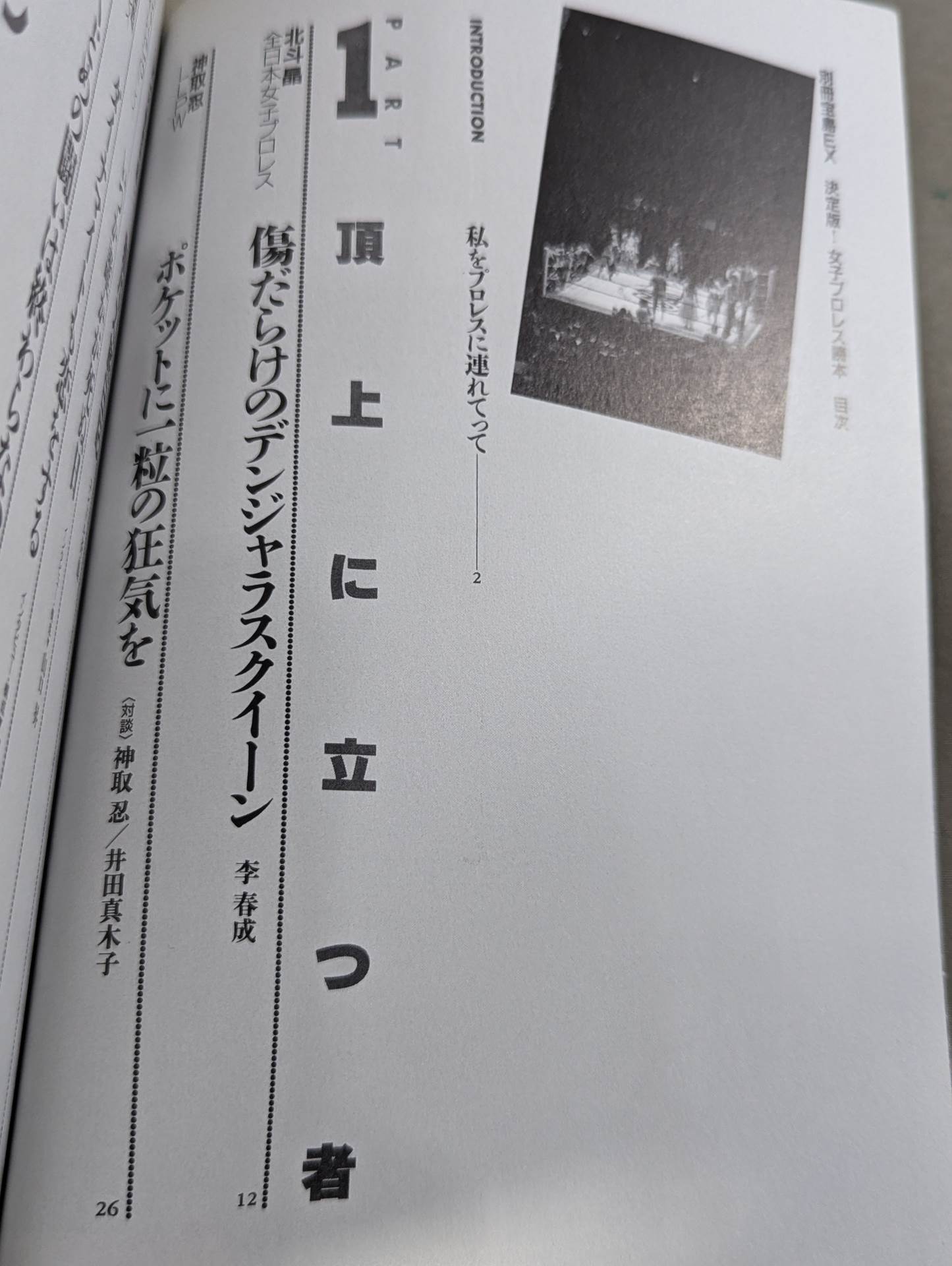 別冊宝島EX 決定版!女子プロレス読本