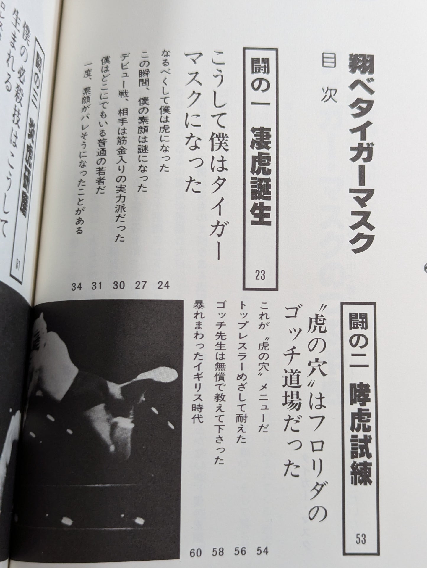 Shobe Tiger Mask