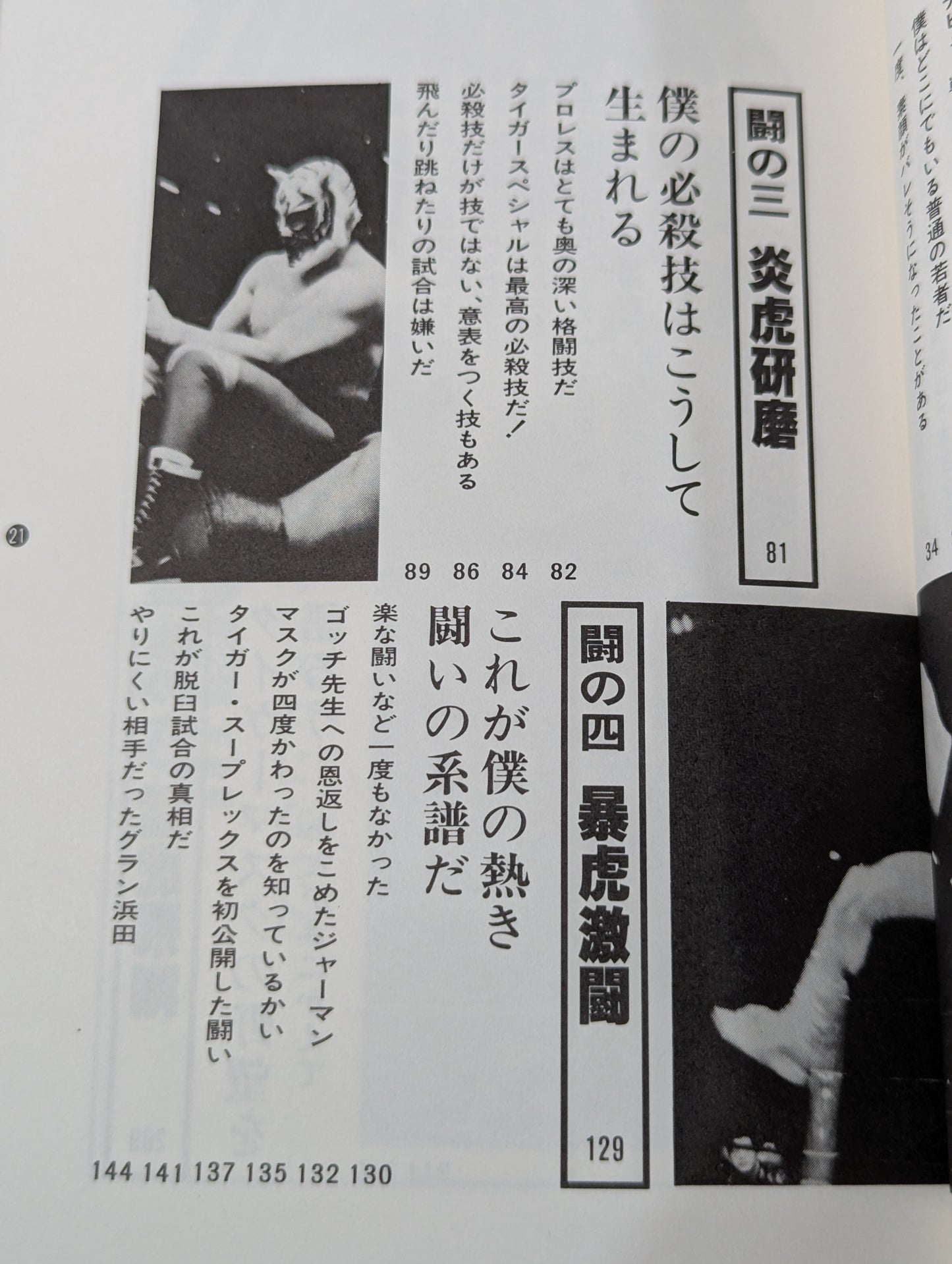 Shobe Tiger Mask