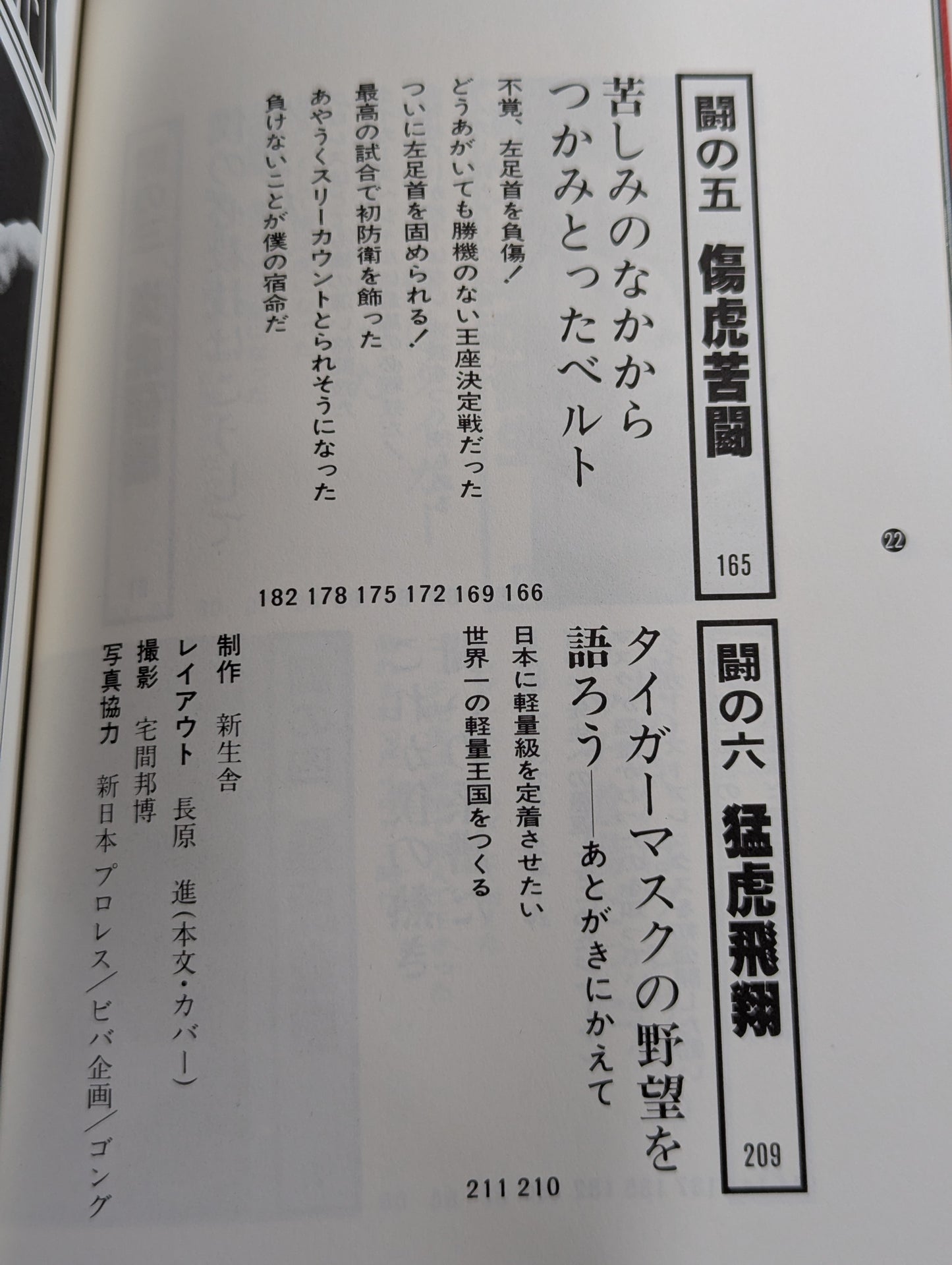 Shobe Tiger Mask