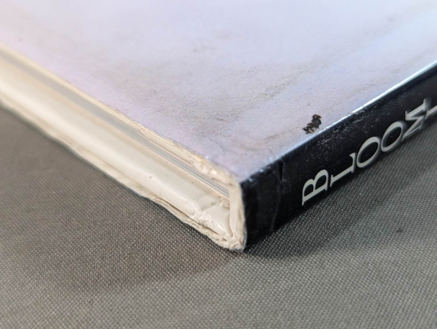 Michiko Omukai  photo  1st BLOOMING - A woman's heart blossoms