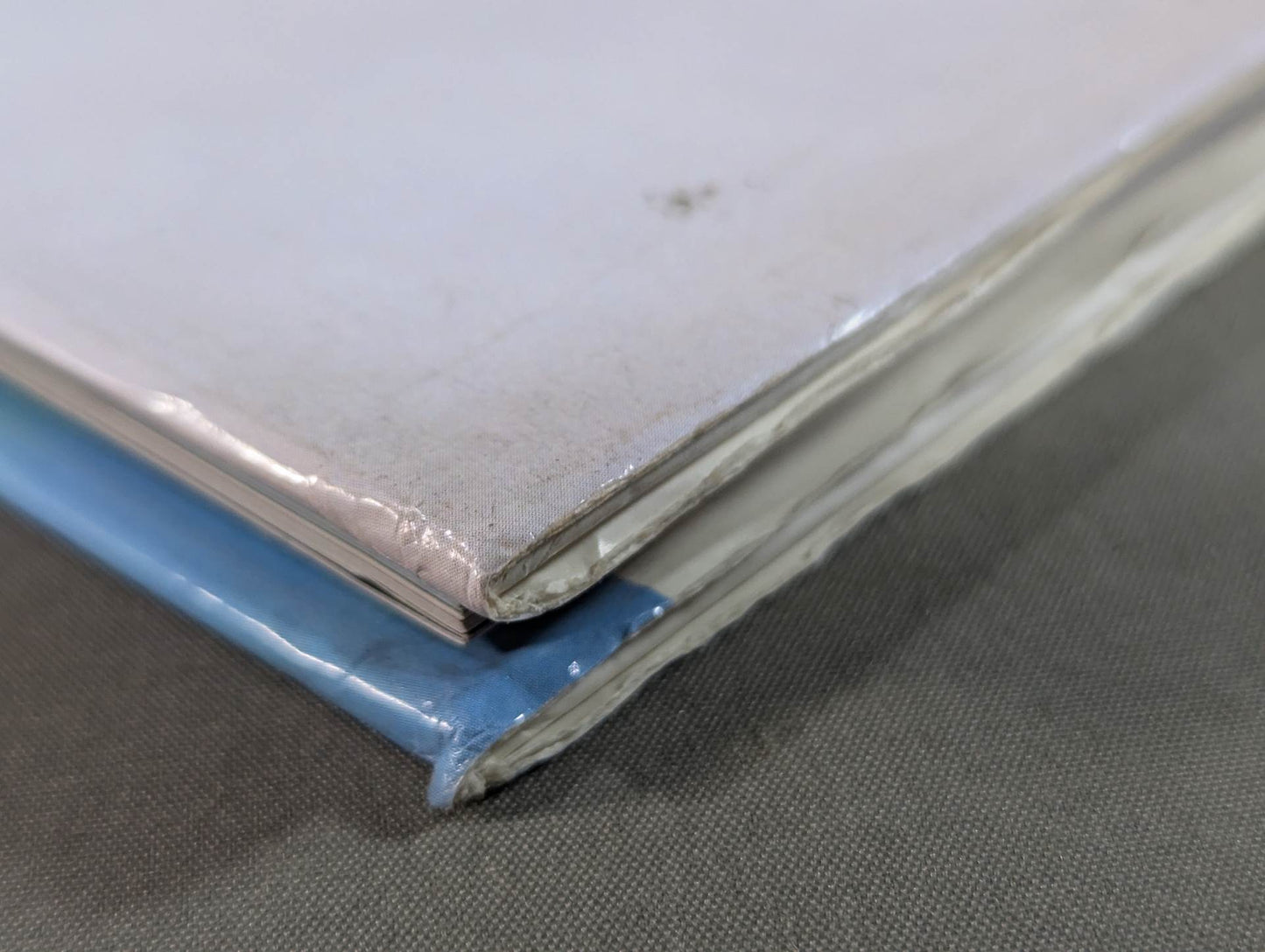 Michiko Omukai  photo  1st BLOOMING - A woman's heart blossoms