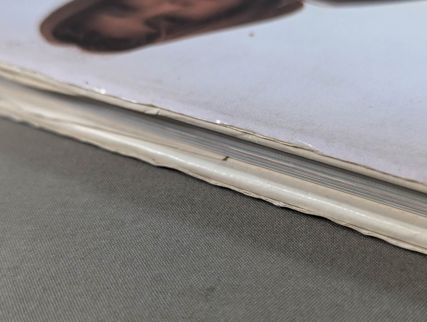 Michiko Omukai  photo  1st BLOOMING - A woman's heart blossoms