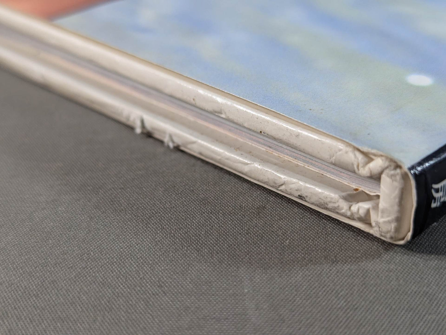 Michiko Omukai  photo  1st BLOOMING - A woman's heart blossoms