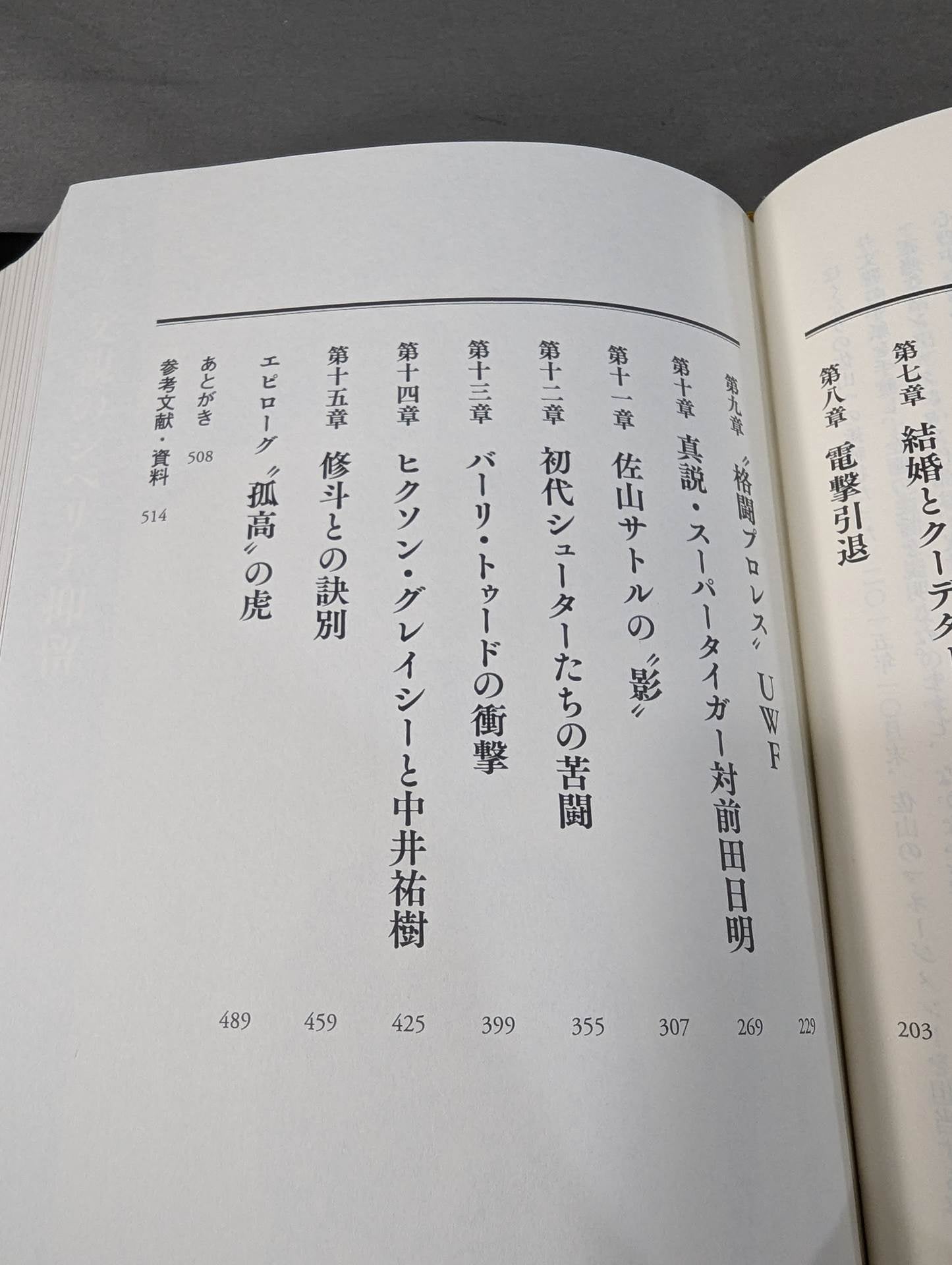 True theory: Satoru Sayama  The Man Called Tiger Mask