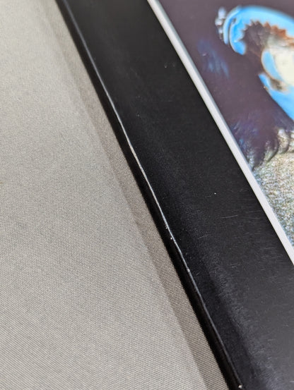 Magic Dragon Encyclopedia Revised Edition