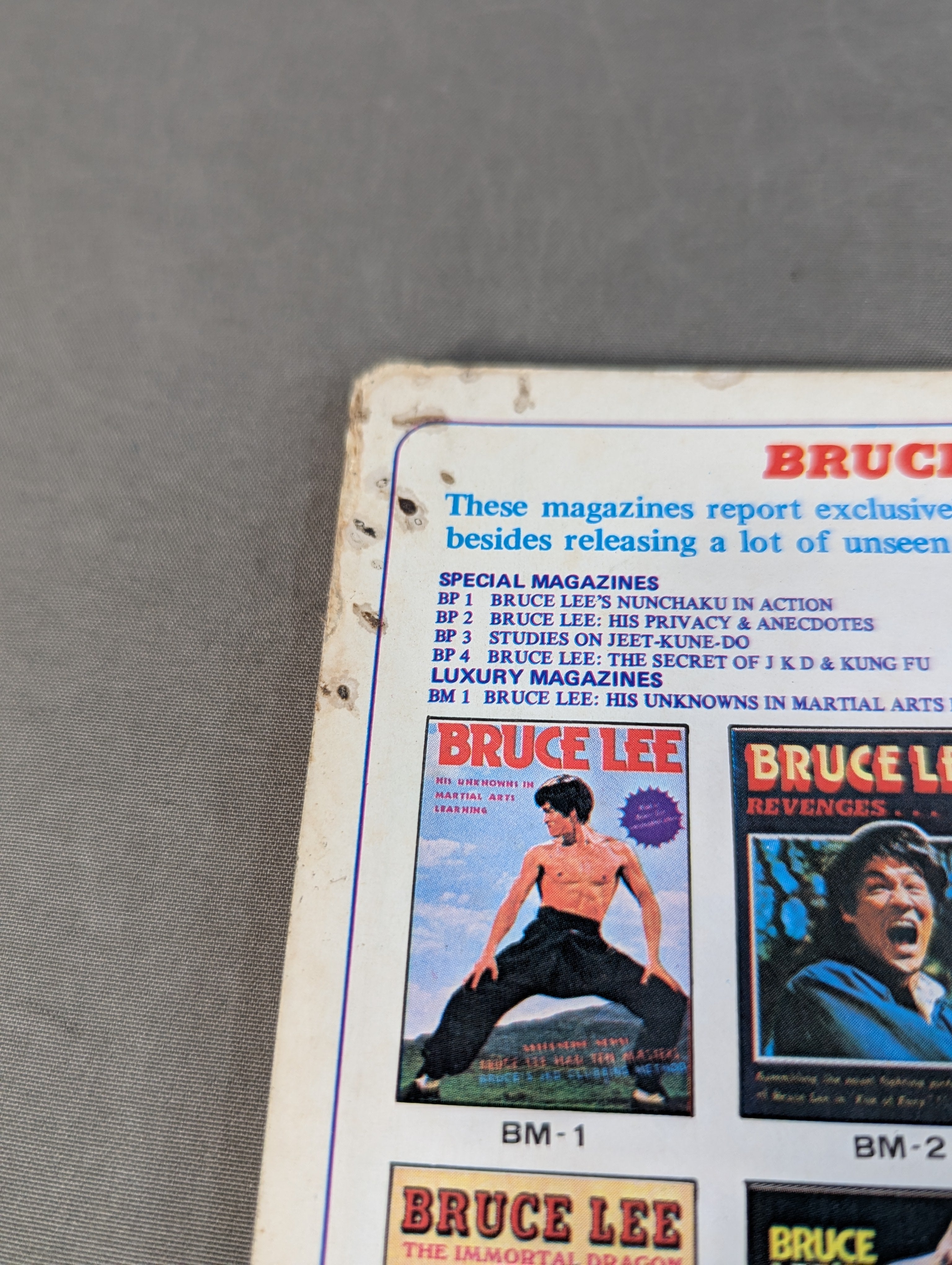 BRUCE LEE HIS PRIVACY AND ANECDOTES – 闘道館