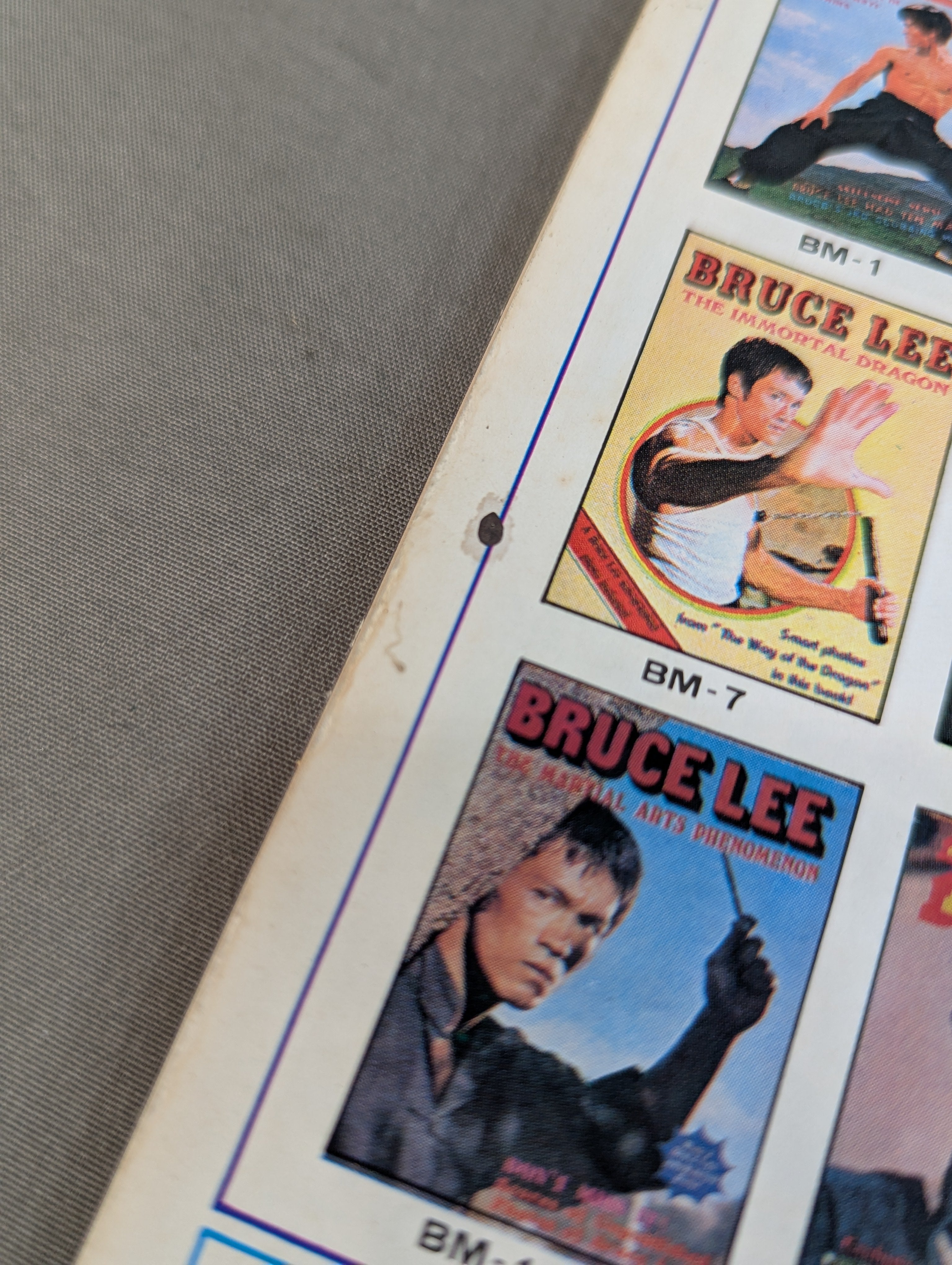 BRUCE LEE HIS PRIVACY AND ANECDOTES – 闘道館