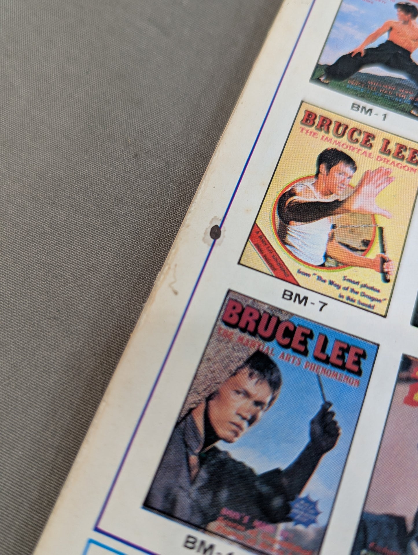 BRUCE LEE HIS PRIVACY AND ANECDOTES