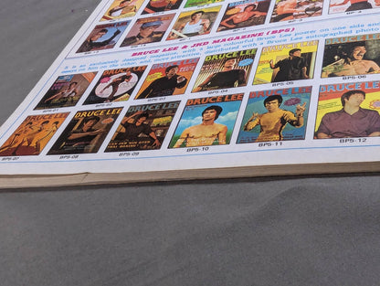 MYSTERY OF BRUCE LEE