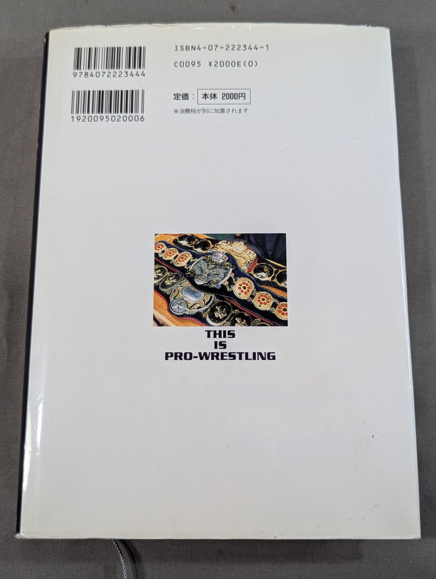 This is Pro Wrestling . -The Four Heavenly Kings speak-