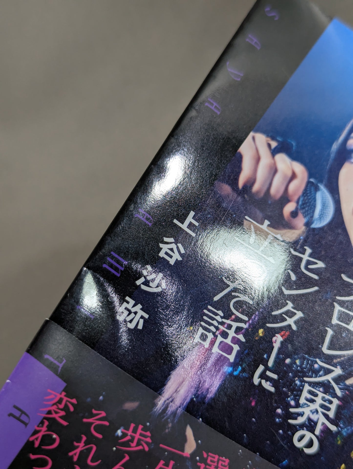 The story of how I stood at the center of the Pro Wrestling world as an idol