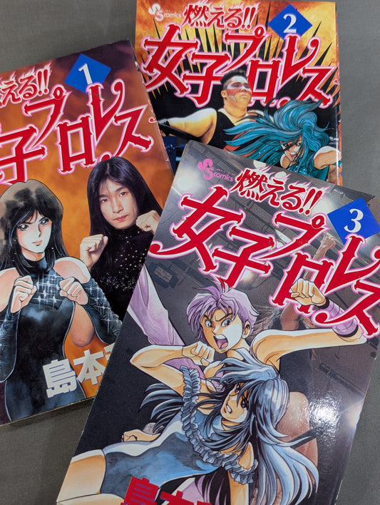 [All 3 volumes set] Burning! !! Women's Pro Wrestling