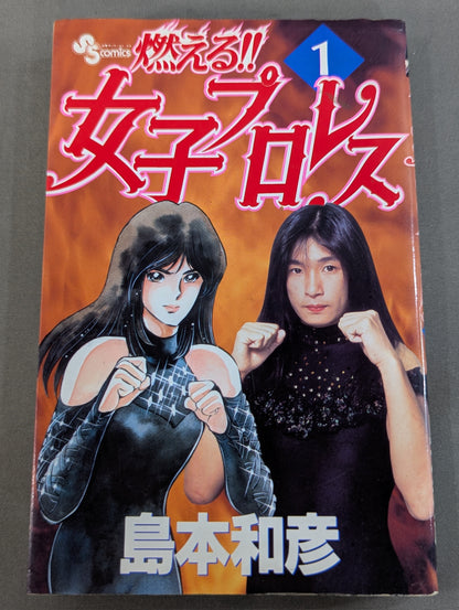 【全3巻セット】燃える!!女子プロレス