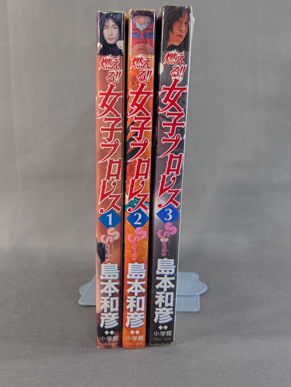 【全3巻セット】燃える!!女子プロレス