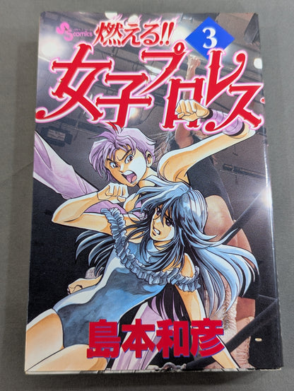 【全3巻セット】燃える!!女子プロレス