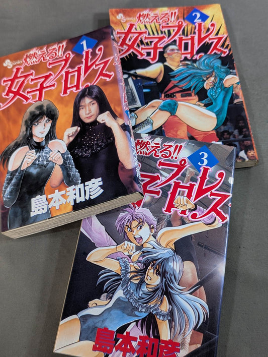 [All 3 volumes set] Burning! !! Women's Pro Wrestling