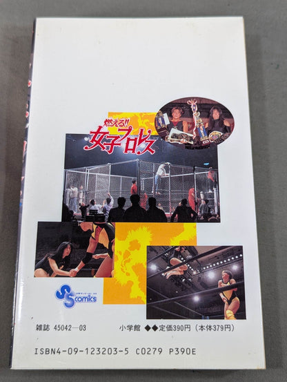 [All 3 volumes set] Burning! !! Women's Pro Wrestling
