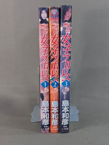 [All 3 volumes set] Burning! !! Women's Pro Wrestling