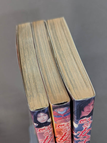 [All 3 volumes set] Burning! !! Women's Pro Wrestling