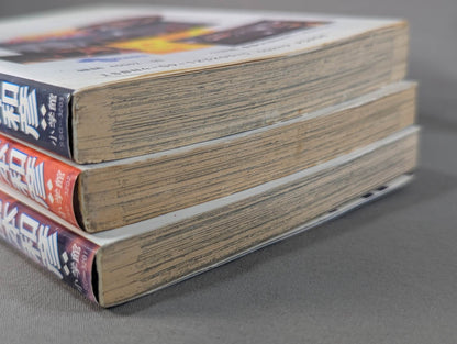 [All 3 volumes set] Burning! !! Women's Pro Wrestling