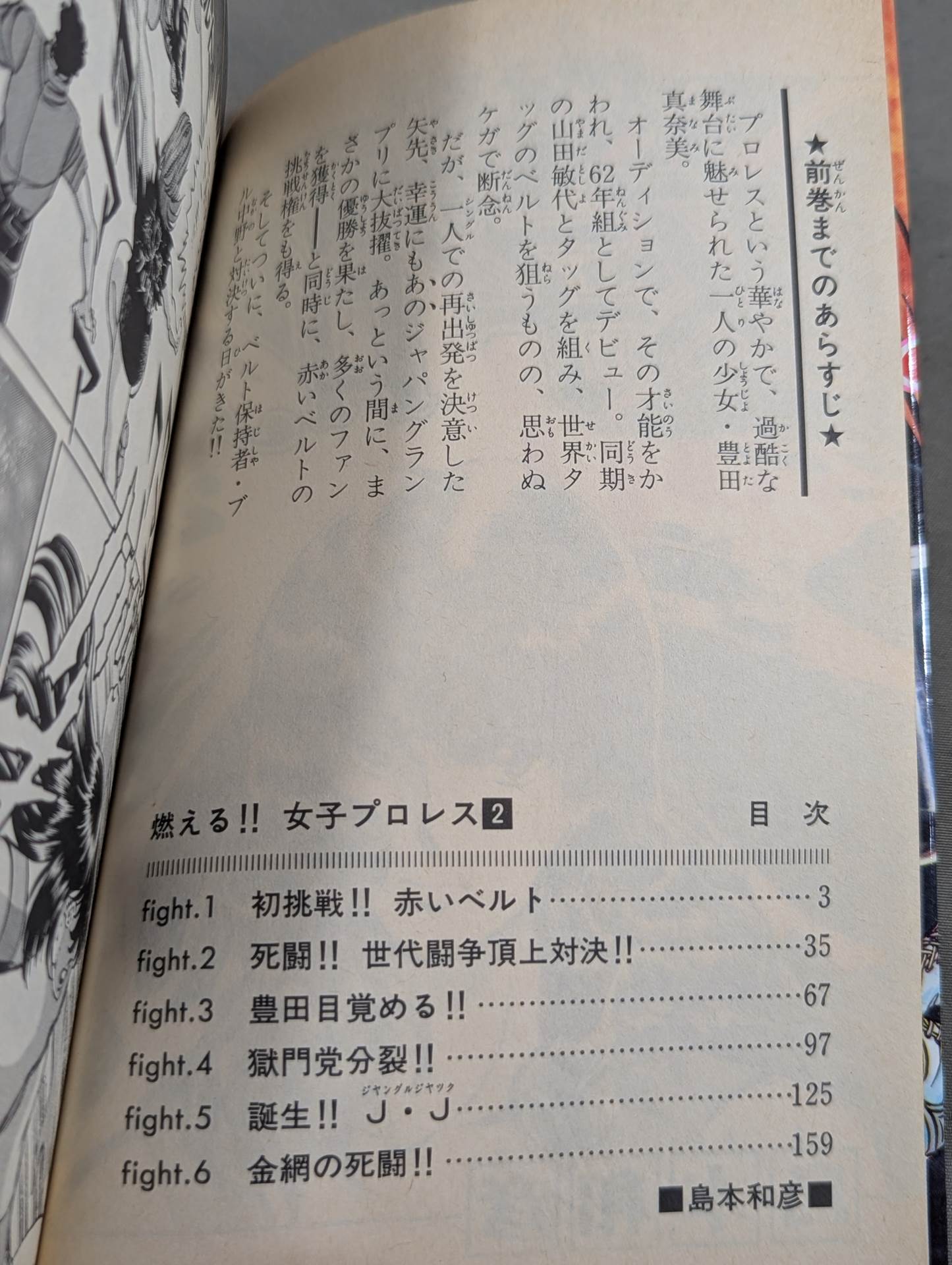 [All 3 volumes set] Burning! !! Women's Pro Wrestling