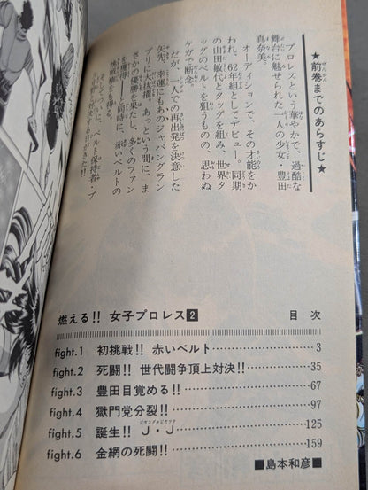 [All 3 volumes set] Burning! !! Women's Pro Wrestling