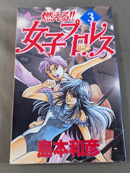 [All 3 volumes set] Burning! !! Women's Pro Wrestling