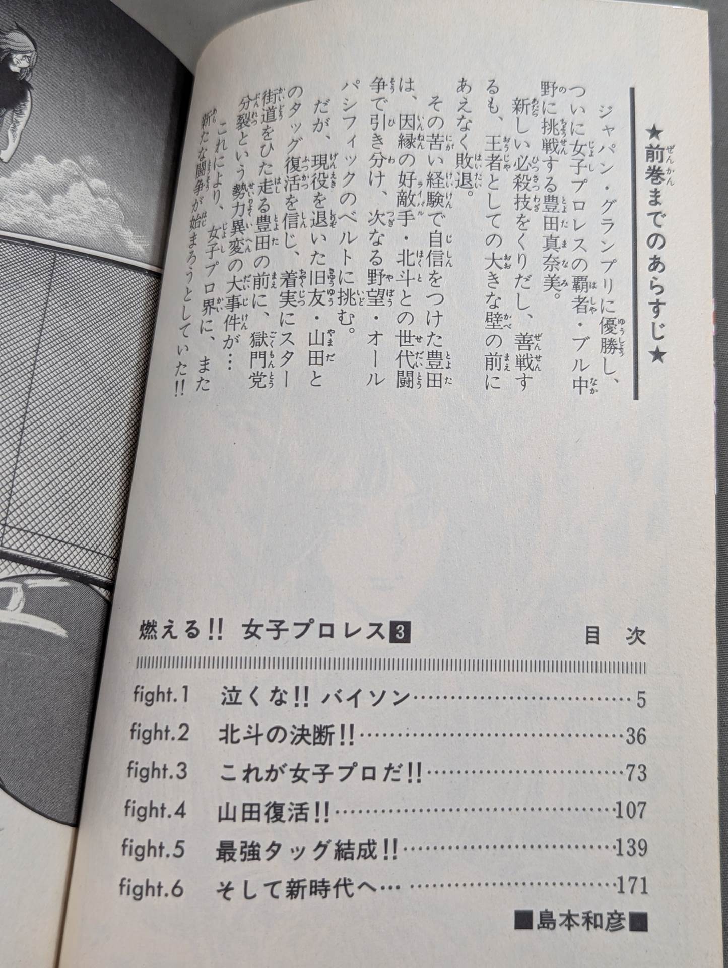 [All 3 volumes set] Burning! !! Women's Pro Wrestling