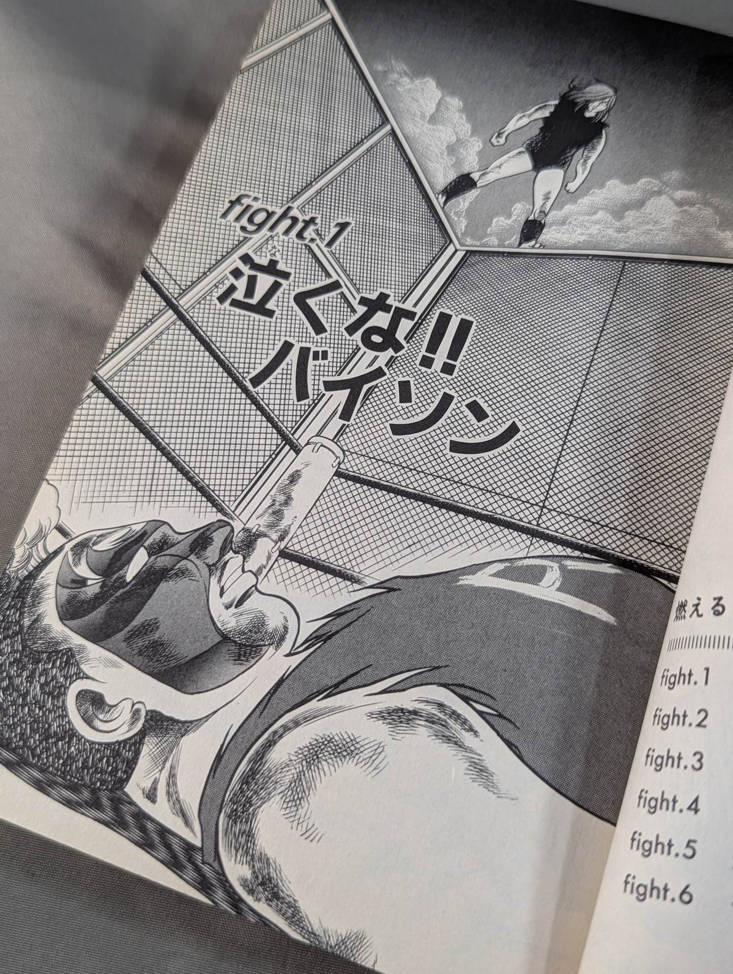 [All 3 volumes set] Burning! !! Women's Pro Wrestling