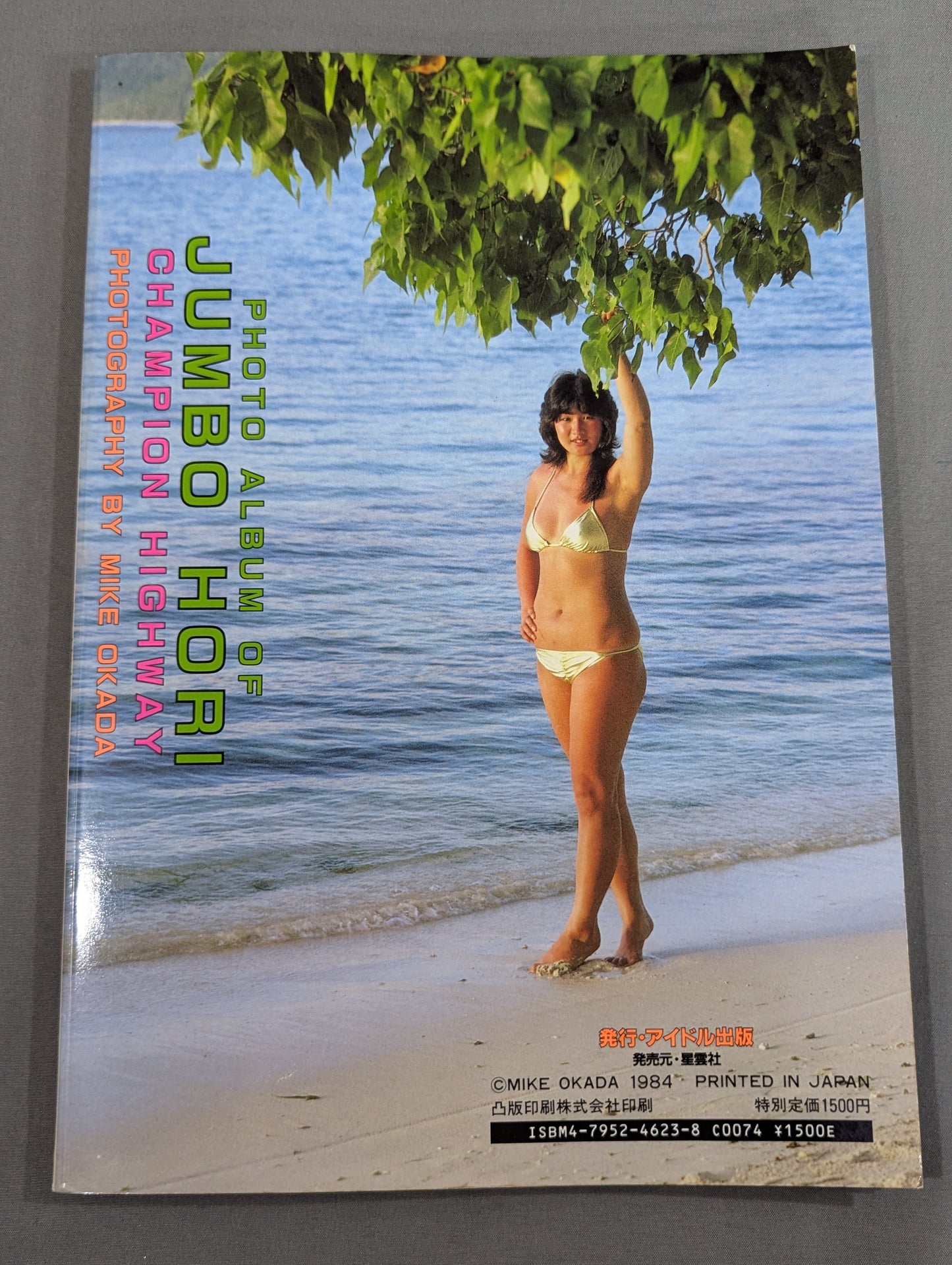 ジャンボ堀 写真集 女子プロレス青春ドラマ  / チャンピオン・ハイウェイ