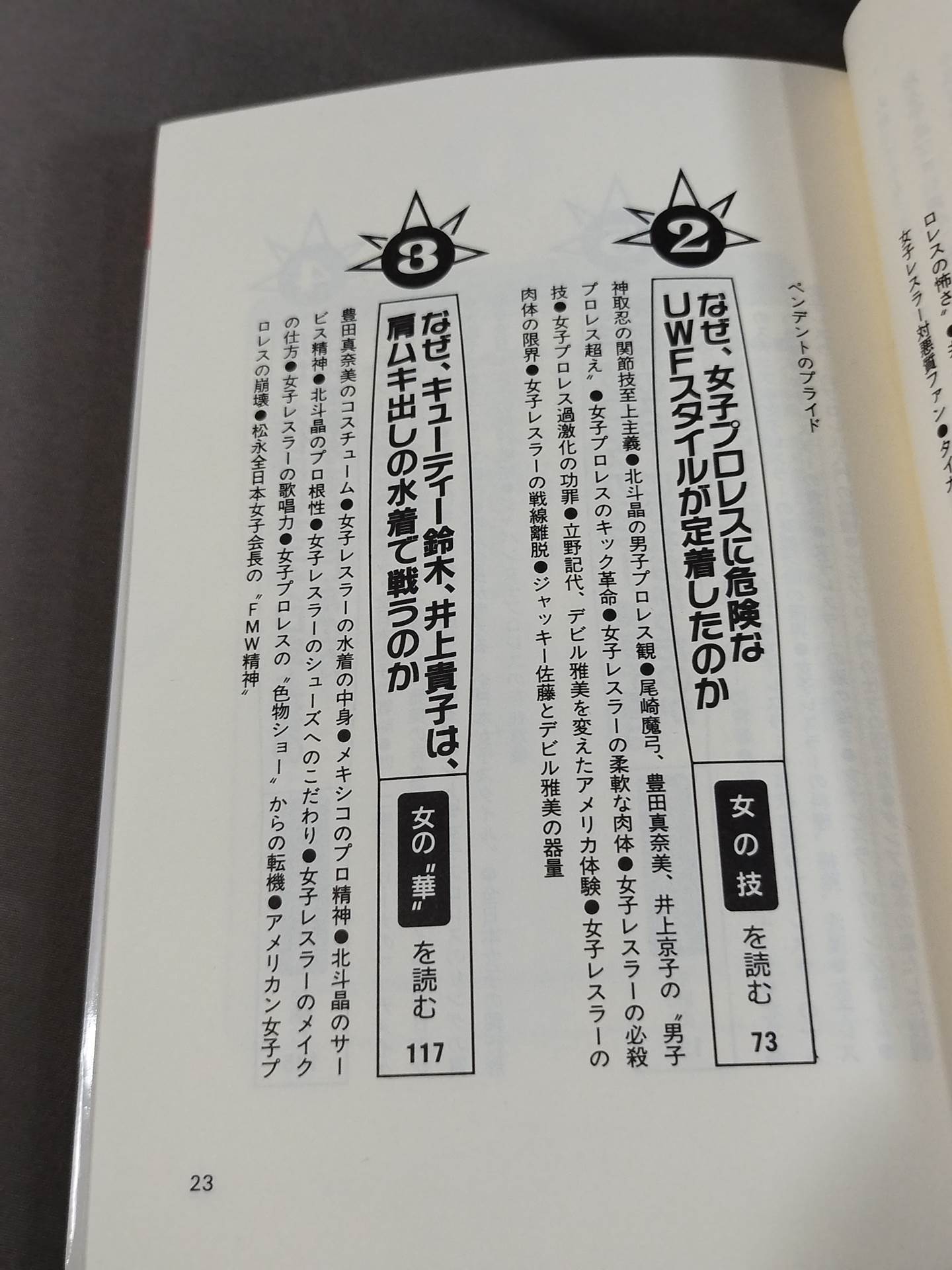 Pocket Book 51 How to Read Women's Pro Wrestling